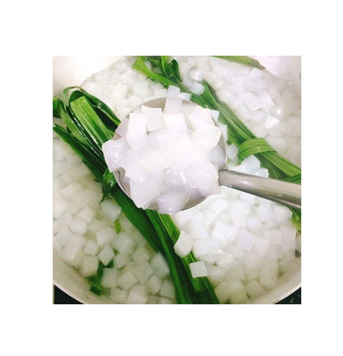 RAW NATA DE COCONUT - COCONUT JELLY FOR MANUAFACRURE