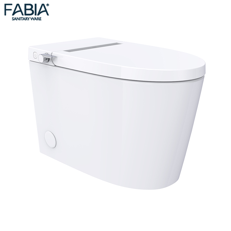 Foshan Factory High Quality One Piece Smart Automatic Electrical Toilet