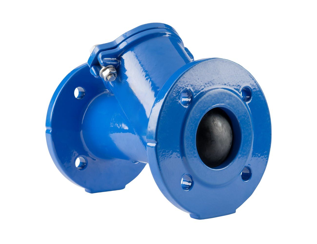 bsp threaded end screwed type cast iron screw ball check valve