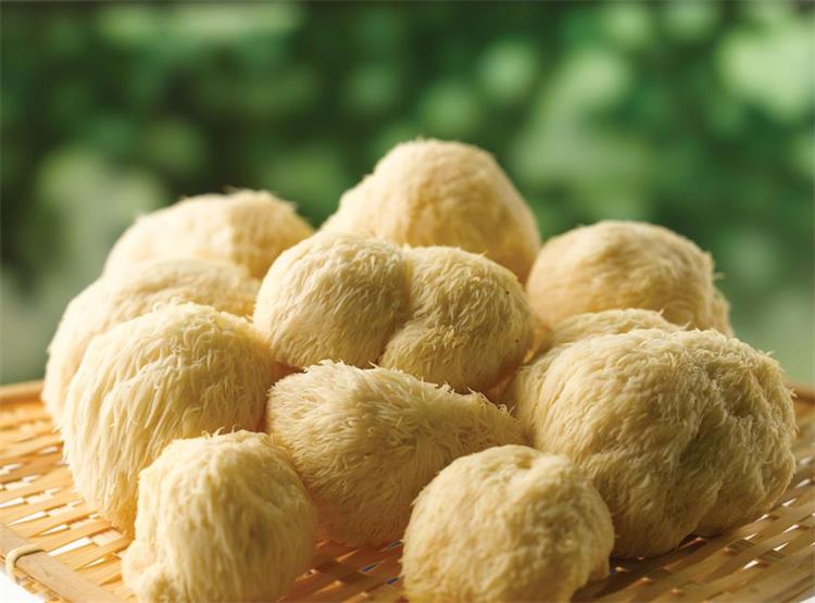 Органический порошок Львиной гривы, мицелий, мицелий, минец 50%