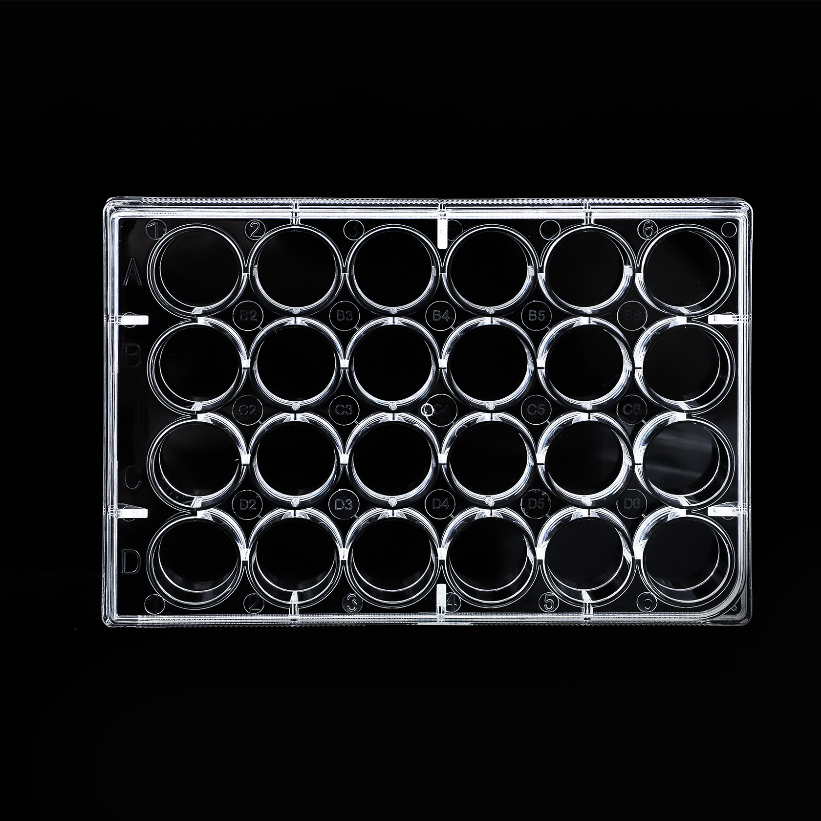 New Arrival Multi Cell Culture Well Well Plate With High Standard