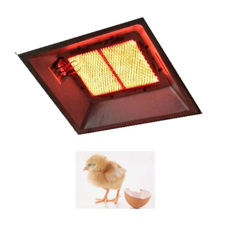 Infrared poultry chick brooder lpg gas heater HD2608