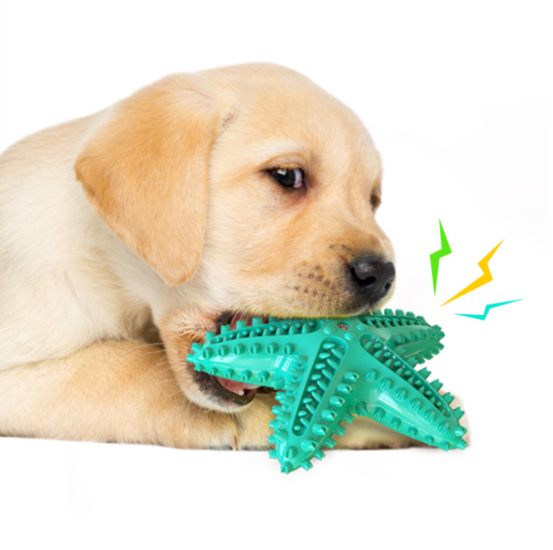 Floating dog toothbrush dog toy bite resistant molar stick pet chewing toy
