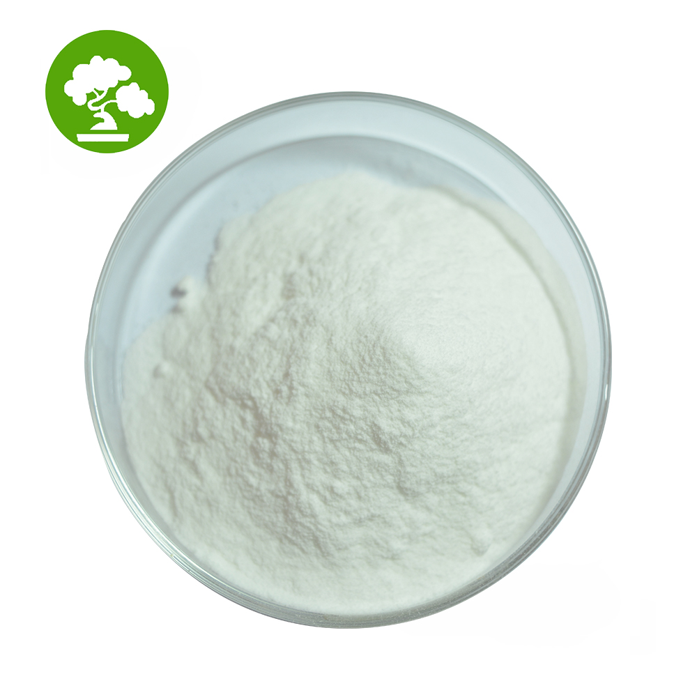 Top Quality Probiotics Streptococcus Salivarius Powder