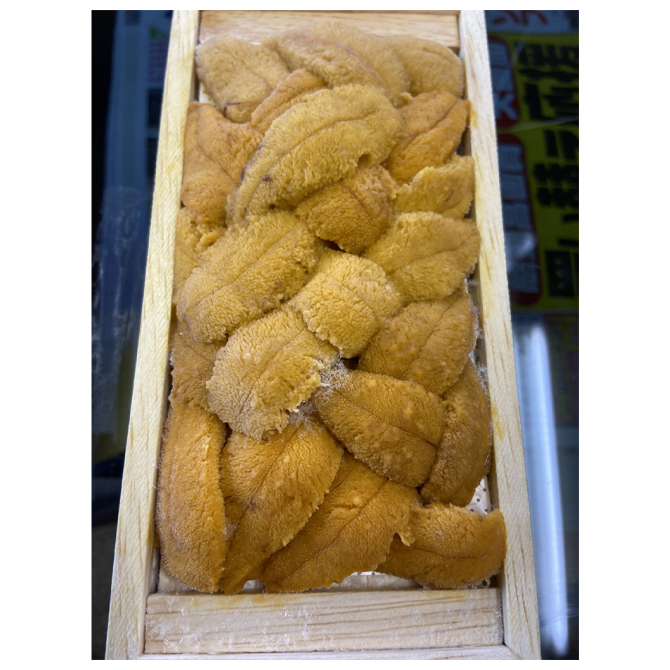 Japan frozen or refrigerated sea urchin quality seafood importers