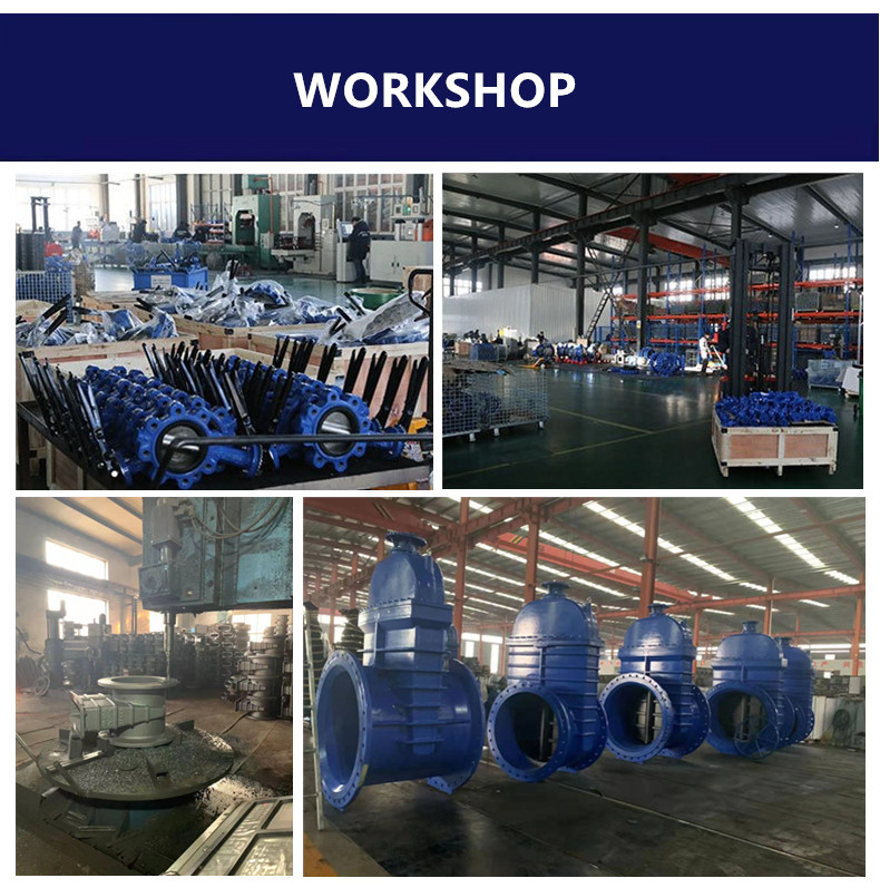 Butterfly valve gear box cast iron material