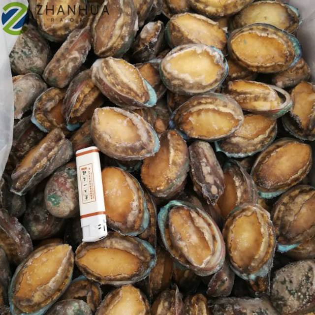 Замороженный морской Абалон, хорошее качество, китайский поставщик