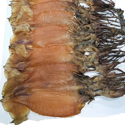 Good quality dried indian ocean squid made in China