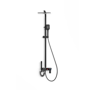 Factory price, bathroom shower, copper material, stainless steel accessoriesshower water softener