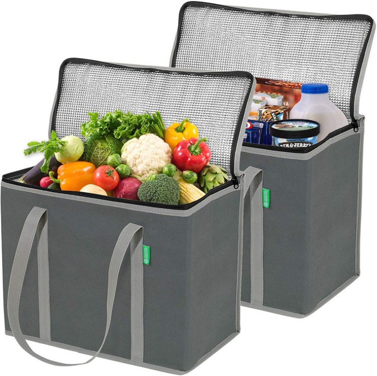 picnic cooler bag tote,non woven tote cooler bag small non-woven,leakproof custom cute cooler tote bag