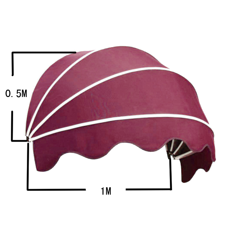 French outdoor retractable awning window and door sunshad awning
