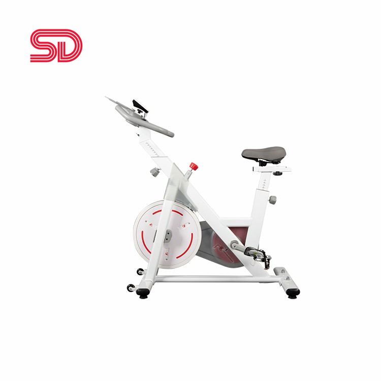 Профессиональный Магнитный Велотренажер Life Fitness Spin Bike