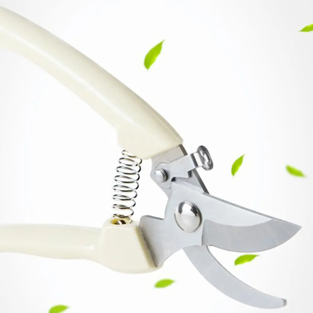 Pruner Orchard And The Garden Hand Tools Bonsai For Scissors Gardening Machine Chopper Pruning Shears Brush Cutter