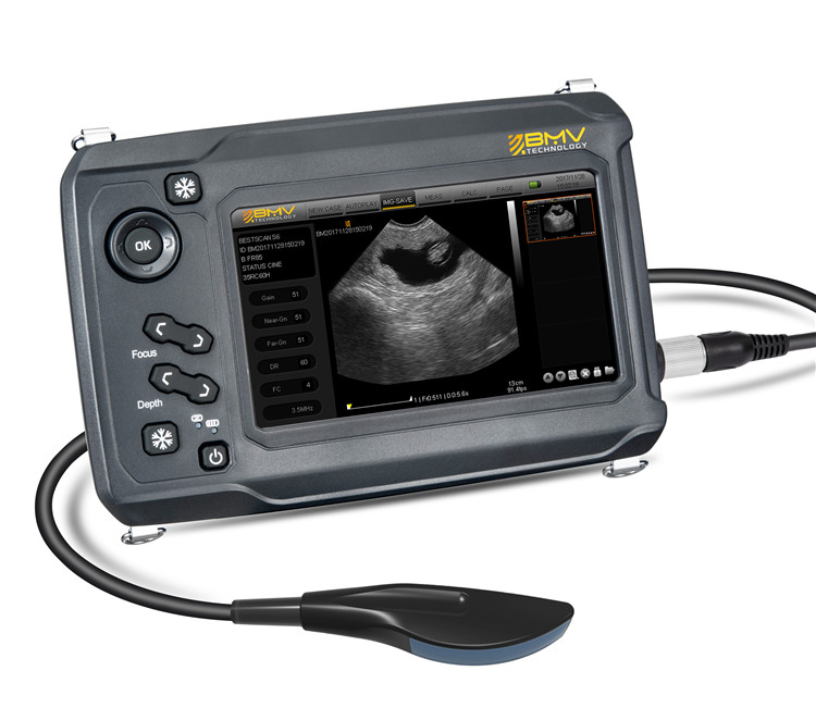 BestScan S6 сенсорный ручной Ветеринарный ультразвуковой сканер, ветеринарная ультразвуковая система для большого сканирования животных