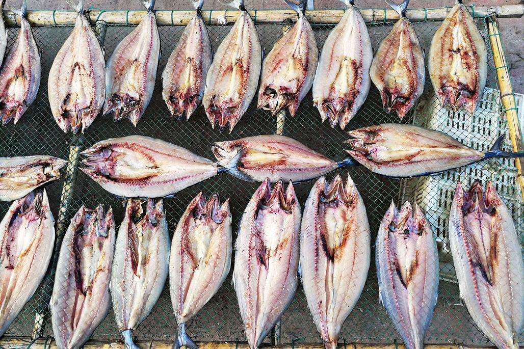 Тепловая сушилка для крупных сельскохозяйственных продуктов, сушилка для мяса, сушилка для консервированных рыб, 15 л.с.