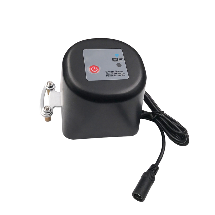 Easy installation IP66 Waterproof wifi control valve Tuya smart electric water shut off valve W 1/2" 3/4" 1" size water pipe