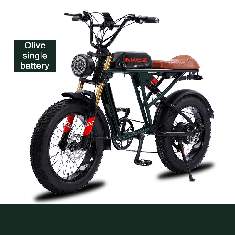 Chinese Supply 48V 750W 13Ah Lithium Battery 20 Inch Fat Tire Snow Electric Mountain Bike Adult E-Bike with down Tube Position