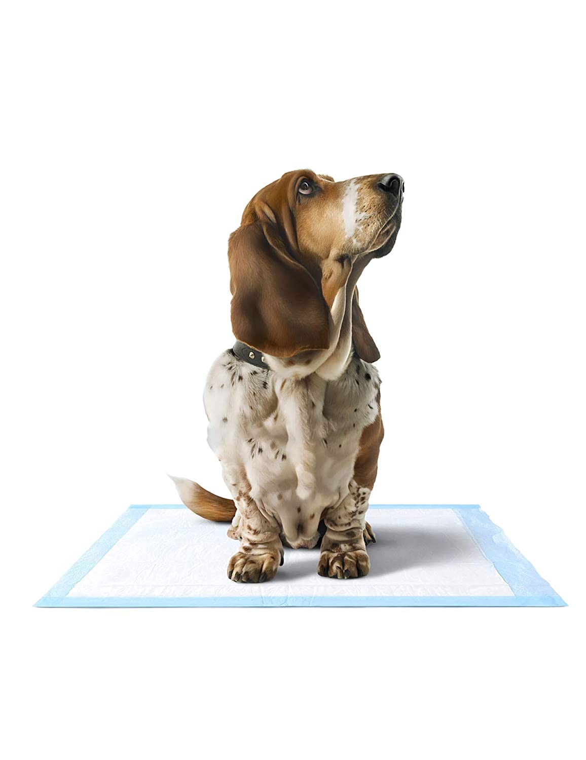 Super Absorbent Pet Training and Puppy Pads Pee Pads Disposable Pet Potty Pad Cat Bags Dog OEM