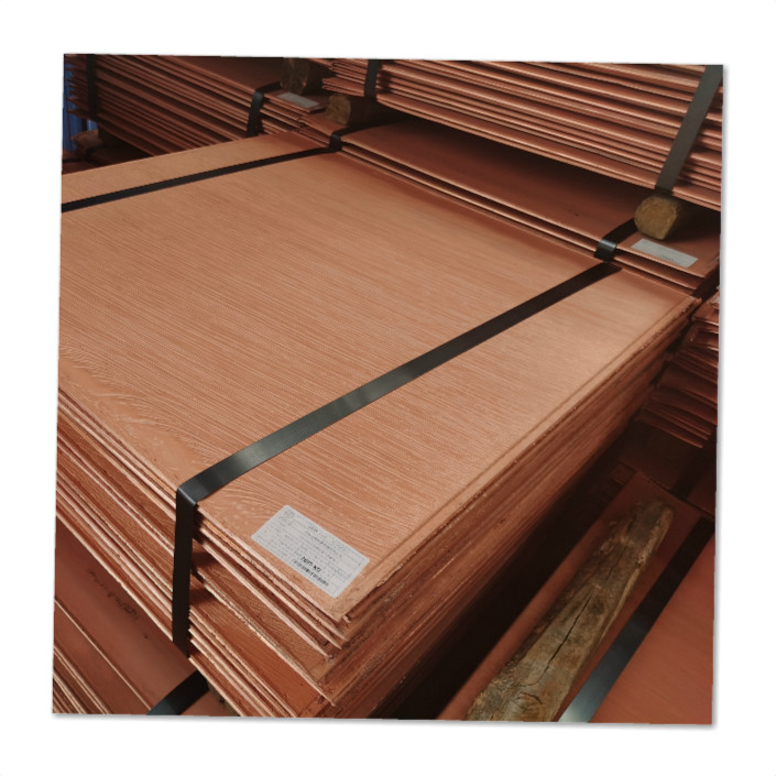 99.99% Pure Electrolyte Copper Plant Cathode Sheet Direct Sale Factory Price