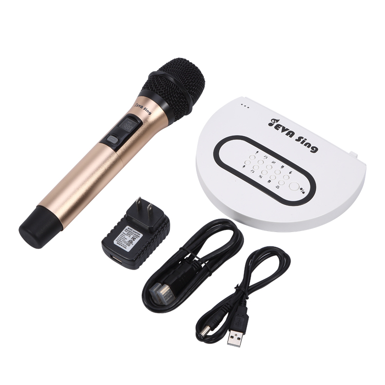 High Quality Home Ktv Speaker Singer Portable karaoke machine system