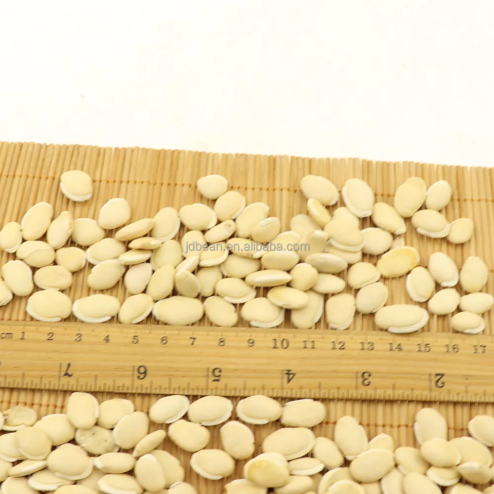 High Quality Dried White Lentils Lablab Semen Album White Hyacinth Bean