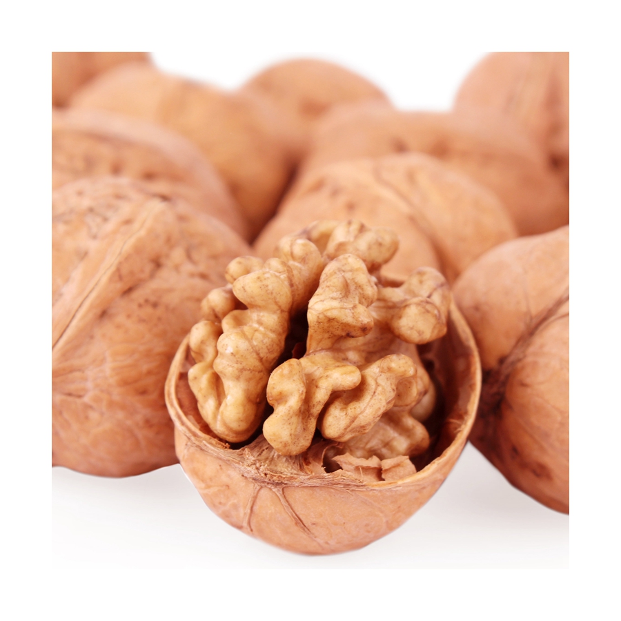Attractive price new type half extra light buy walnut kernel