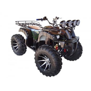New 1000W 60V/72V Electric ATV 10-inch aluminum wheels for Adult
