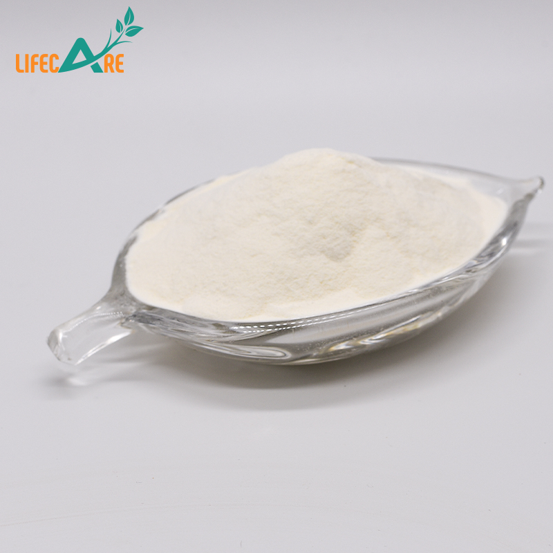Manufacture Lowest Supply Certification ISO Probiotics Lactobacillus Reuteri With Best Price