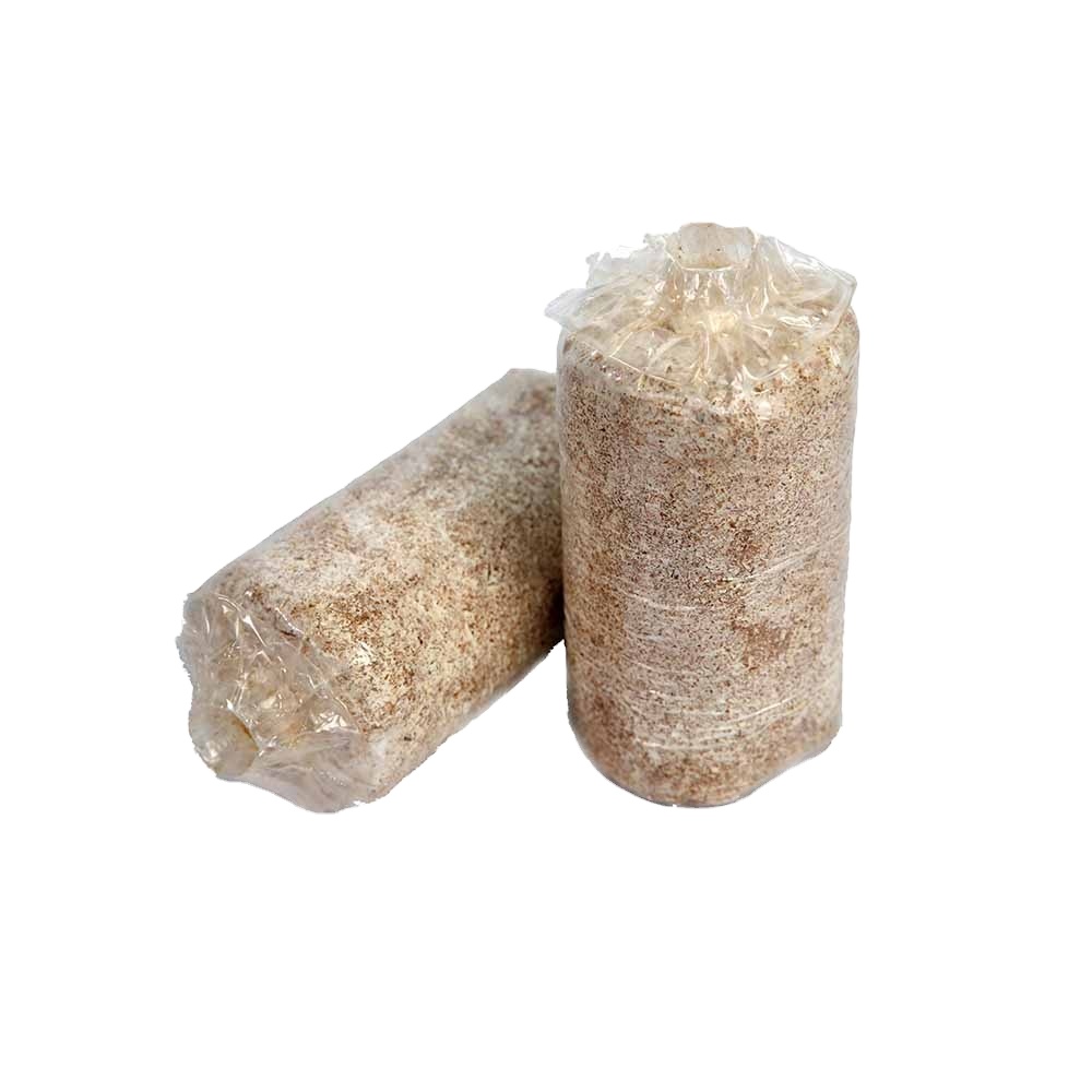 Oak Tree Substrate, King oyster champignon spawn HACCP Certified