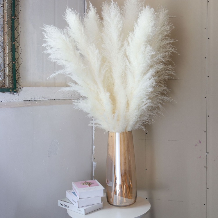 Cheap Price Decoration Flower Wall Pampas Grass Flowers