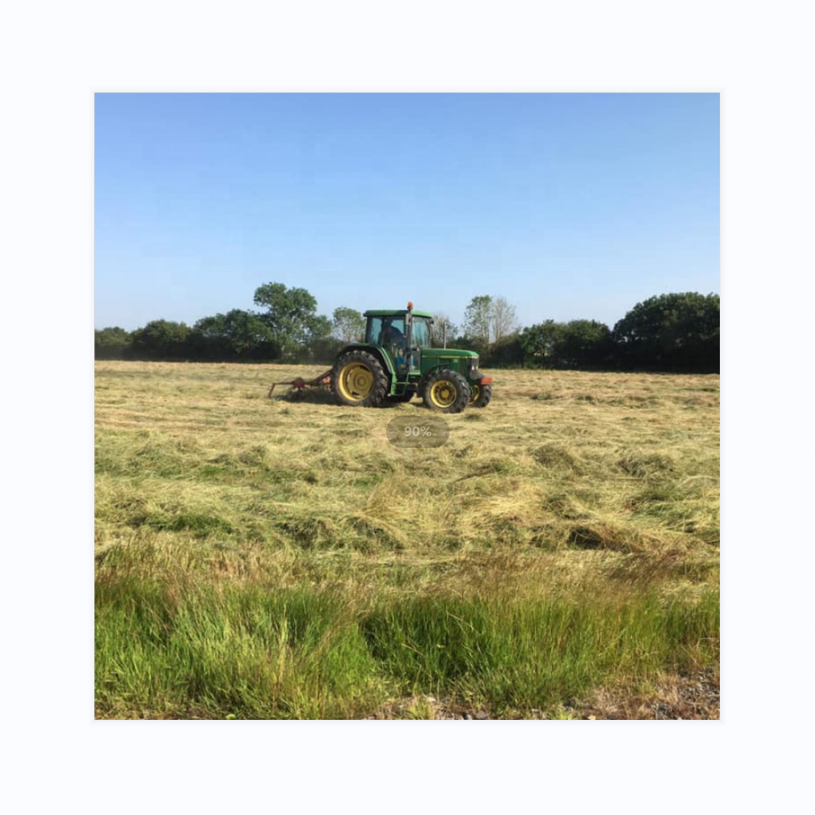 Dairy Horse Premium 1st cut timothy hay bales for sale Cow
