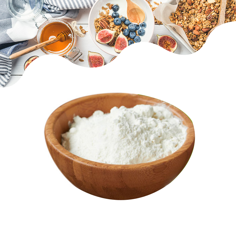 Высококачественный порошок пробиотиков Lactobacillus Plantarum
