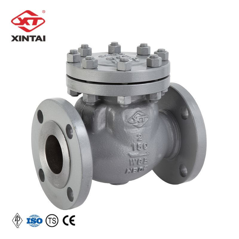 Support for custom industrial valves H44H-150LB 2" Flange cast steel API Swing check valve