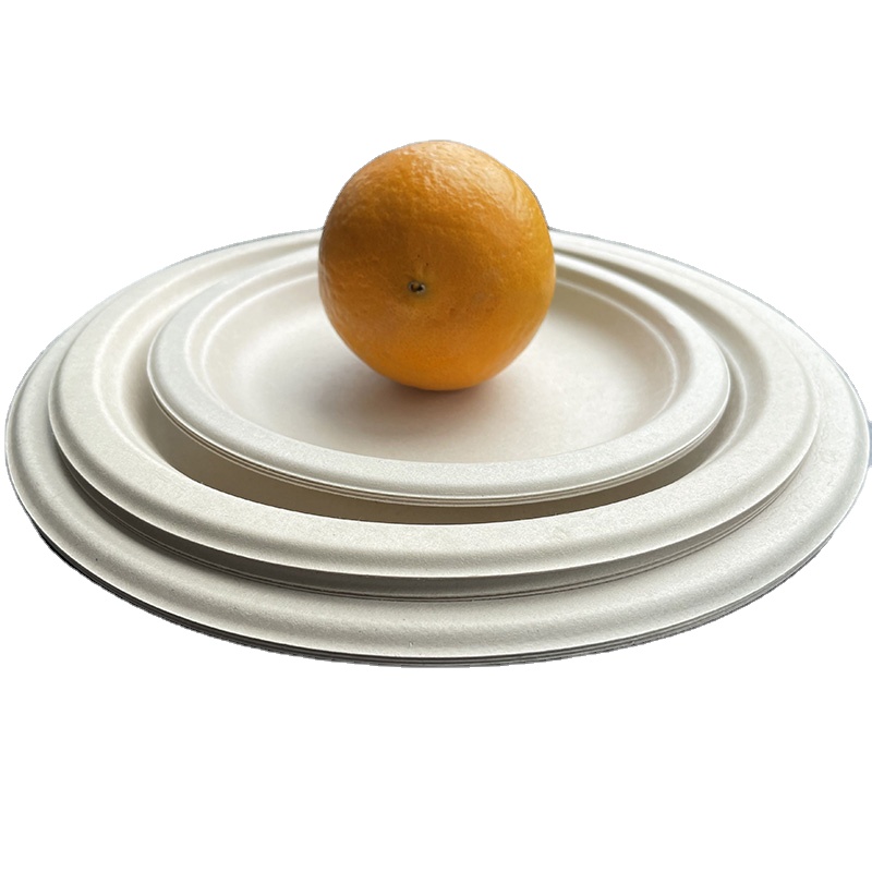 10 Inch Hot Sale Biodegradable Sugarcane Bagasse Plates Paper Tray Disposable Tableware Wholesale Various Eco Party Food Accept