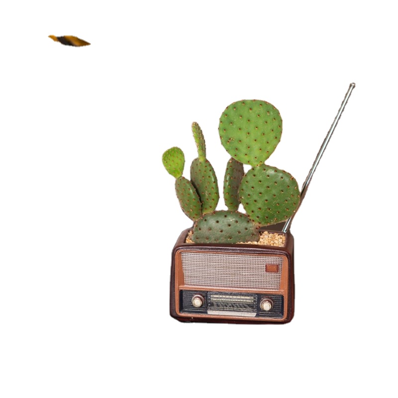 Wholesale Retro Style Old Stuff Tv Radio Flower Vase Telephone Planter Home And Garden Decoration Resin Camera Succulent Bonsai