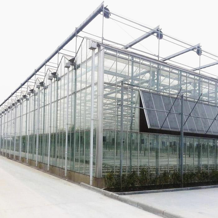 China Factory Price Galvanized Steel Frame Tomato Strawberry Growing Multi Span Greenhouses