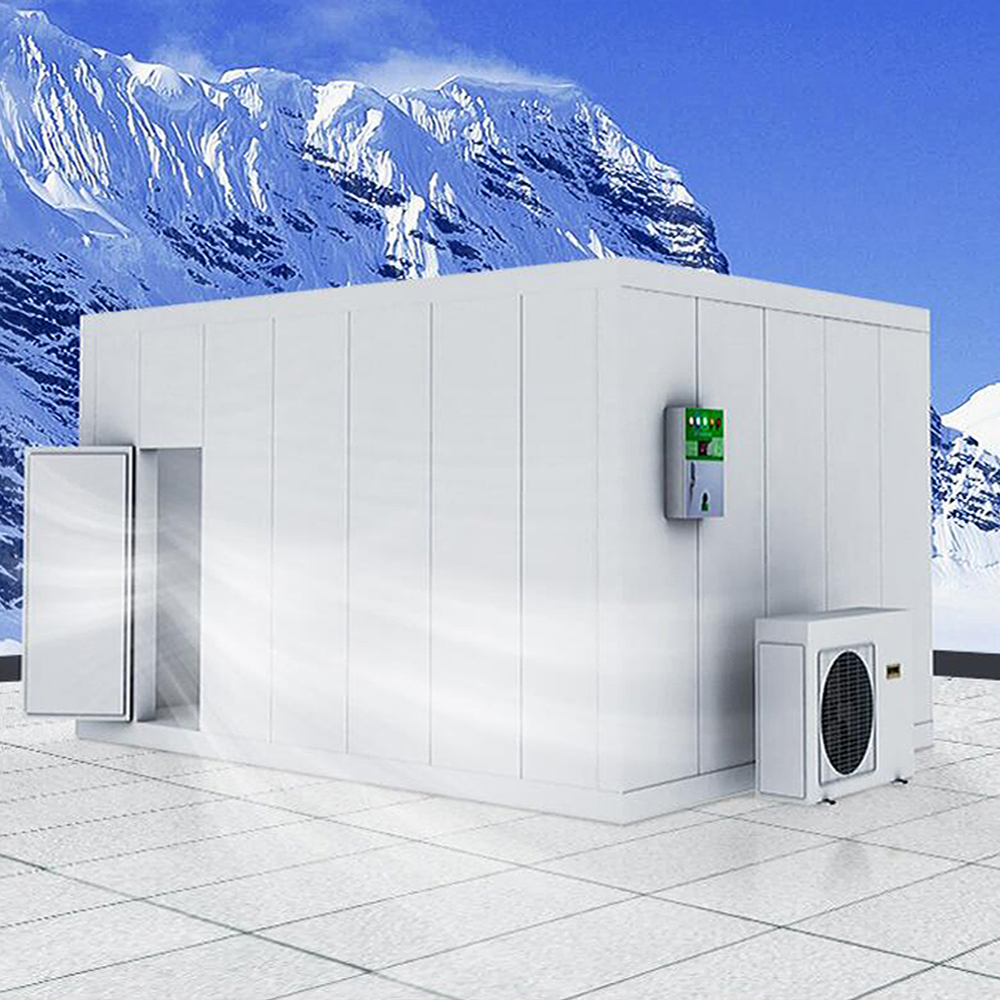Walk in modular cool chiller cold storage freezer room refrigeration