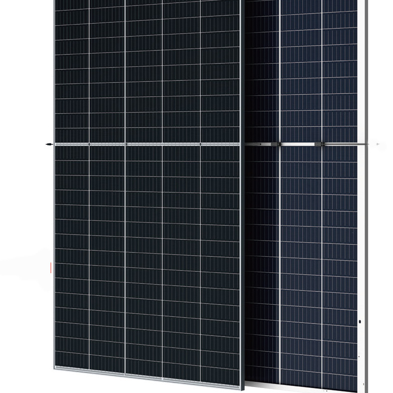 Trina/Longi/Райзен модуля солнечной батареи Dual двусторонние 410W 405W 400W 395W 390W 9BB двойная стеклянная панель солнечных батарей
