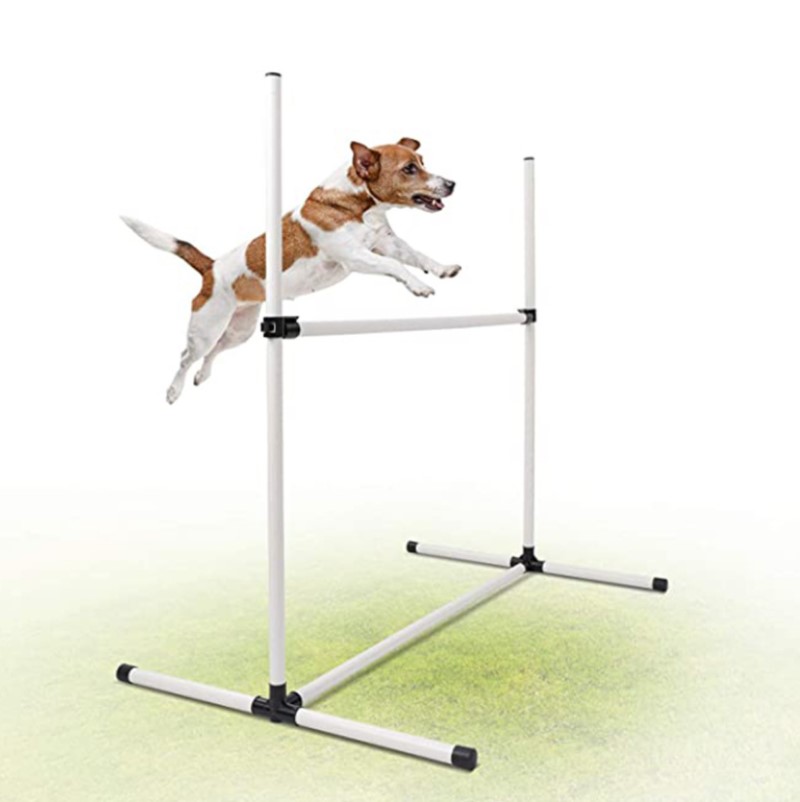Detachable Pet Dog Agility Training Equipment Outdoor Dog Play Equipment Jump Hoop Jump Bar