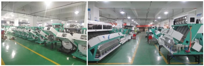 Mini multi-purpose rice grain coffee beans color sorter machine cashew pistachio optical sorting and grading machines