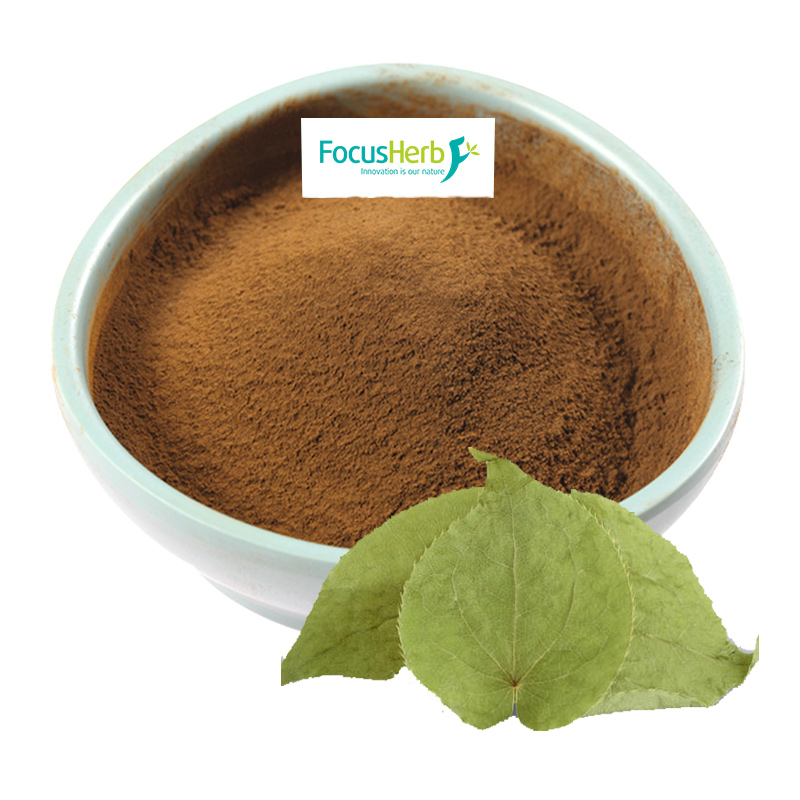Экстракт FocusHerb Epimedium 10%-98% Icariin Powwder, экстракт козы