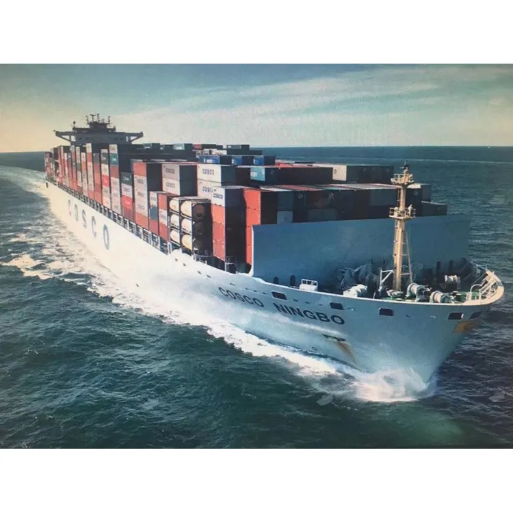 Door To Door Service Advantage Sea Freight Forwarding Shenzhen China To Usa
