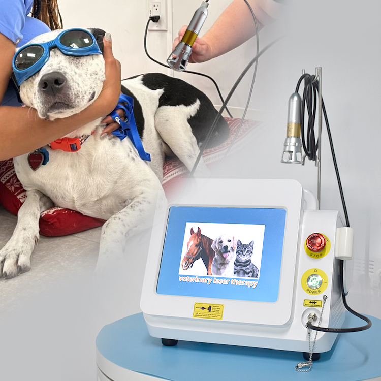 Medical equipment 980nm diode laser veterinary treatment laser cold pain wound healing veterinary laser physiotherapy