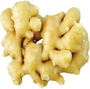 newest crop chinese fresh price of ginger