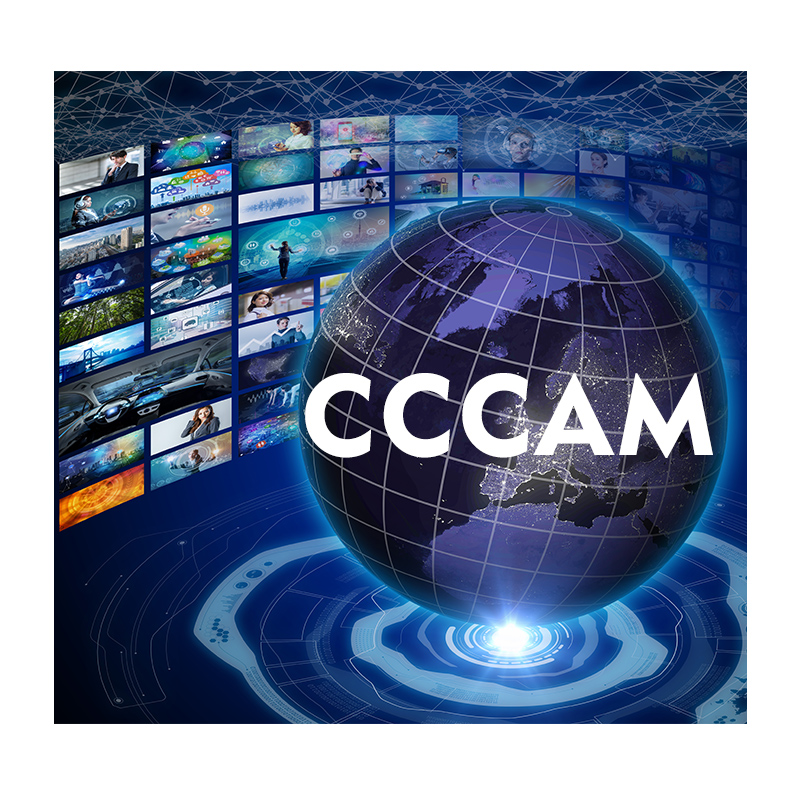 Рекомендуемая панель Aigkcam Cccam, реселлер Icam Oscam 12 месяцев, 6 линий, Польша, Германия, Италия, ccccam, Европа