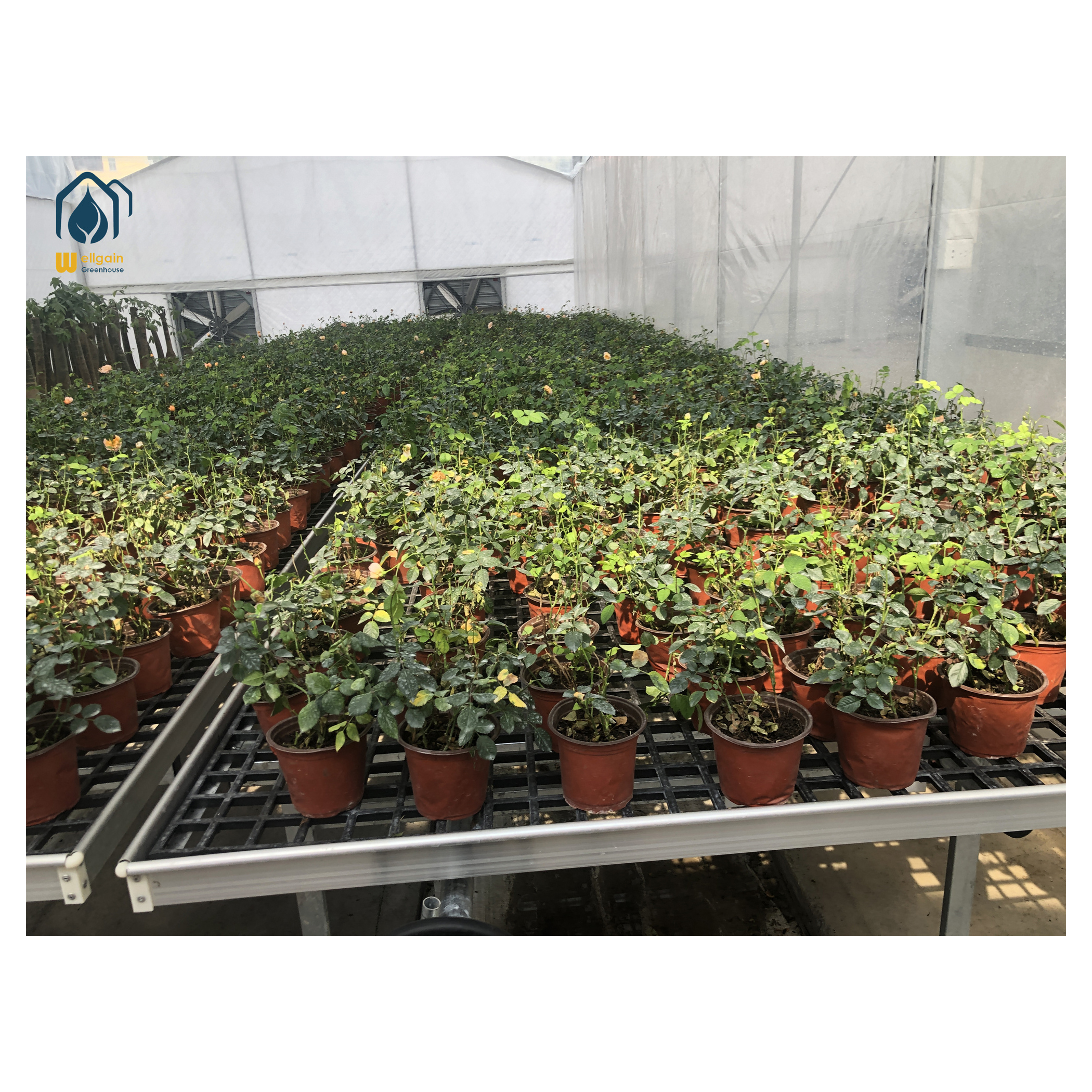 vertical farming agricultural equipment hydroponic
