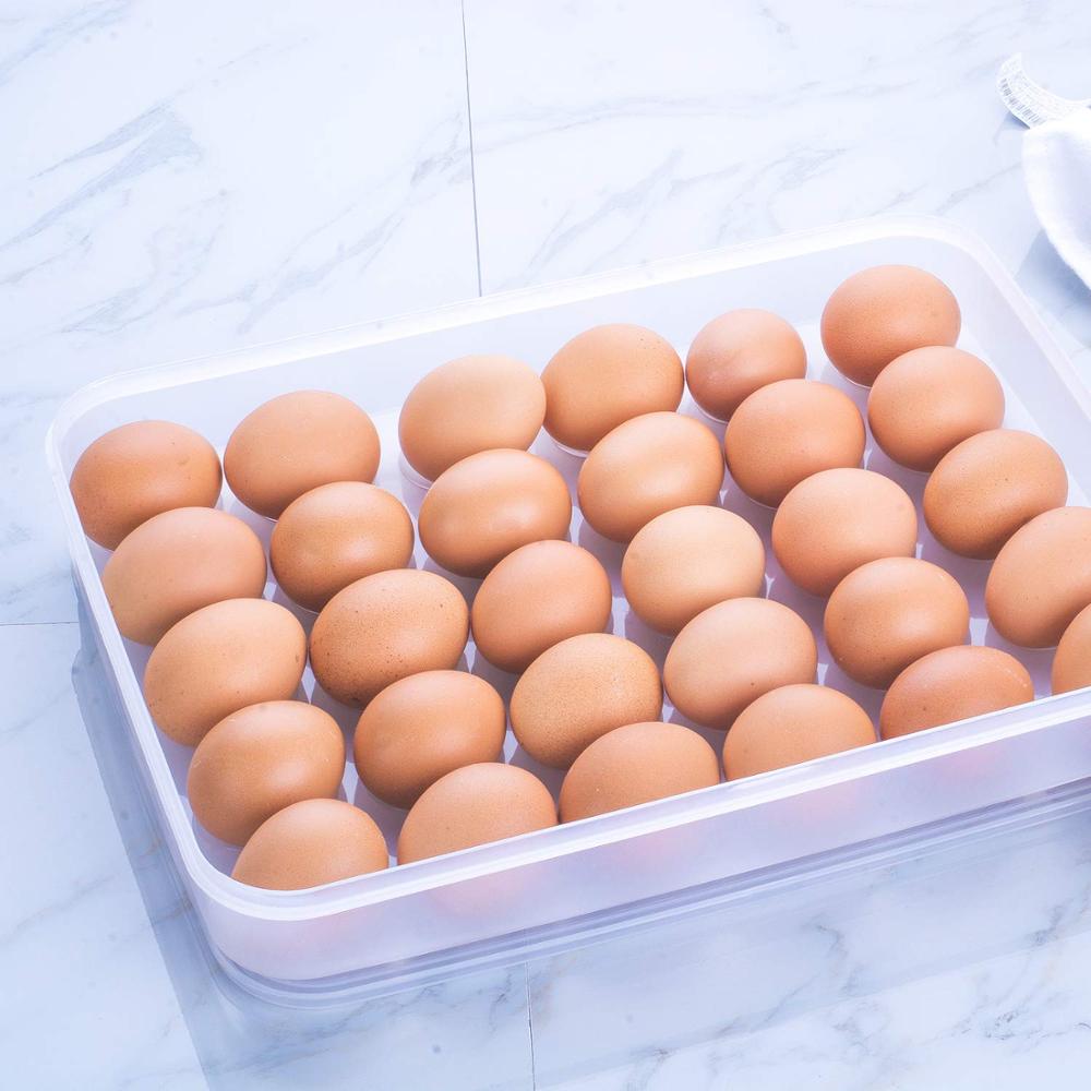 Пластиковый прозрачный портативный лоток для яиц с крышками