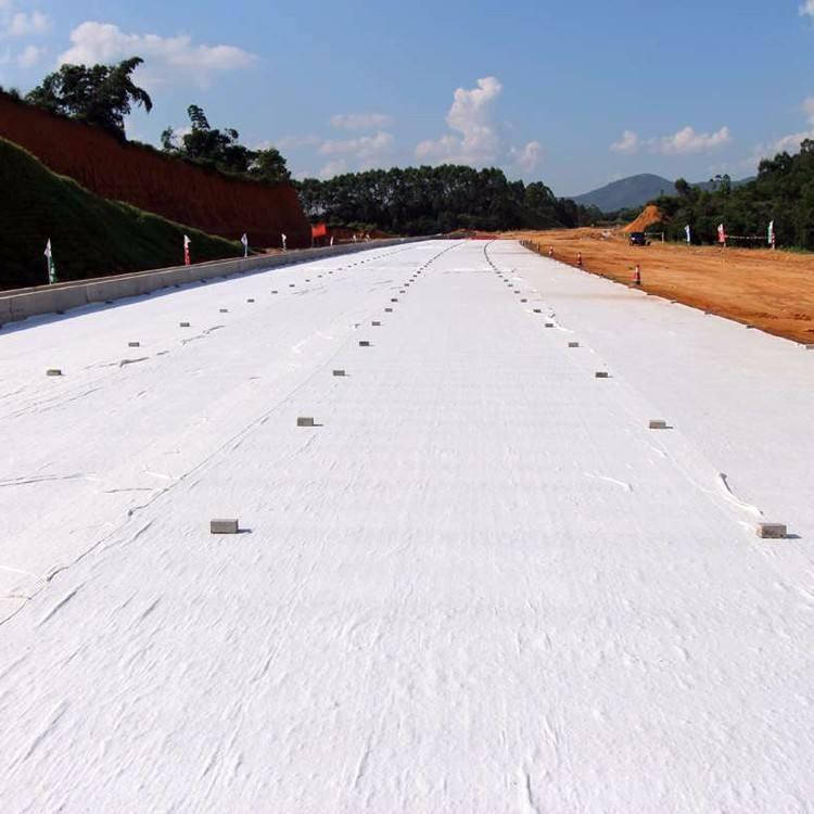 Factory Manufacture Various Polyester Staple Fiber Geotextile Fabric Price