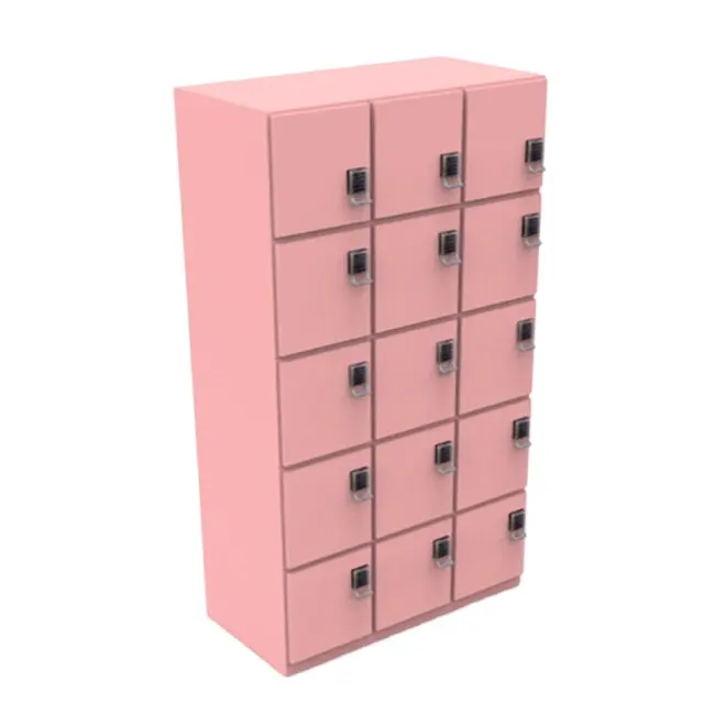 Professional Digital Lock 15 Door HPL Board Pink School Wood Lockers