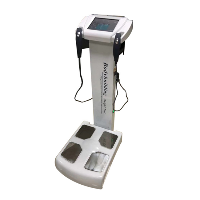Body Composition Nutrition Index Fat Measurement Analyse System
